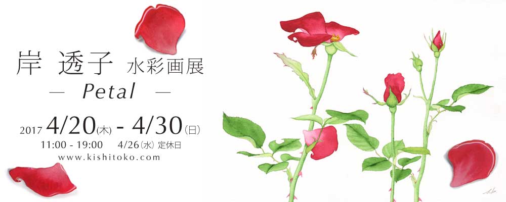 個展のお知らせ2017.04 ギャラリーナカノにて