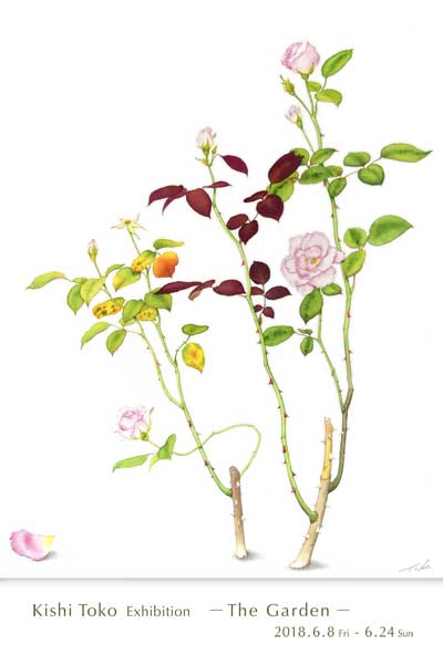 個展のお知らせ2018.06 ギャラリーナカノ