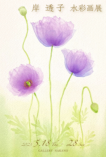 個展のお知らせ2023表