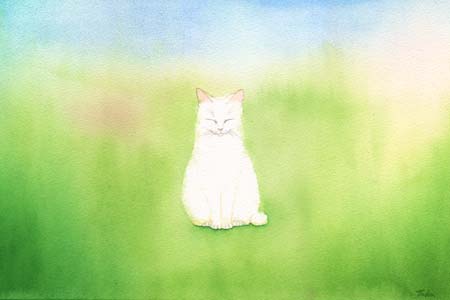 水彩画 猫
