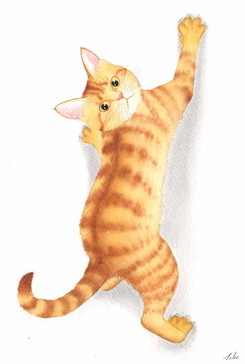 水彩画　猫