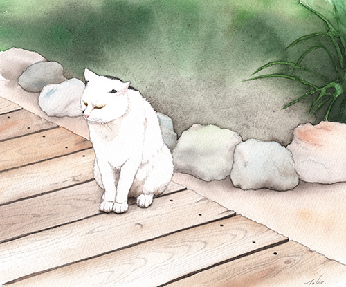 水彩画　まだかな