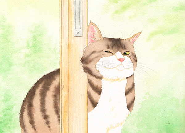 水彩画　猫