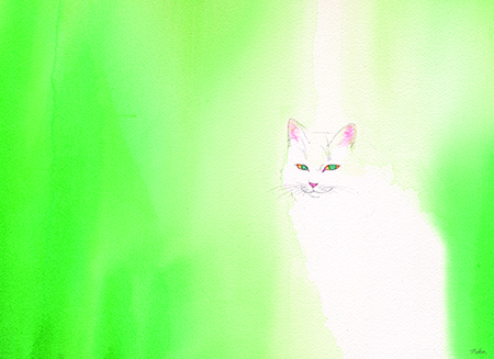 水彩画 猫