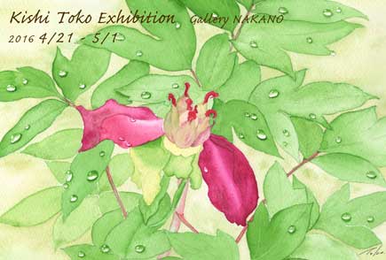 個展のお知らせ2016.04　ギャラリーナカノにて