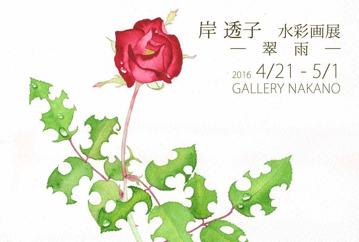 個展のお知らせ2016.04　ギャラリーナカノにて