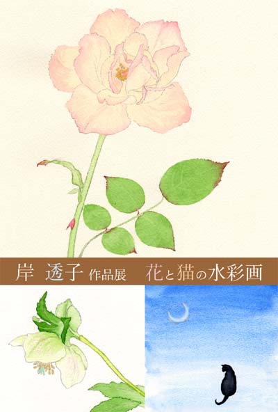 個展のお知らせ　2010.05.13〜25　ギャラリーナカノにて