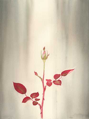 水彩画　Reincarnate