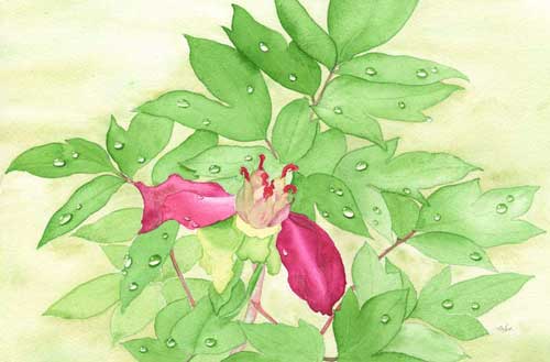 水彩画 終わりの次