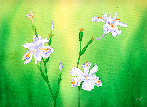 水彩画　木陰に遊ぶ