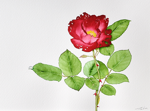 水彩画　此岸より