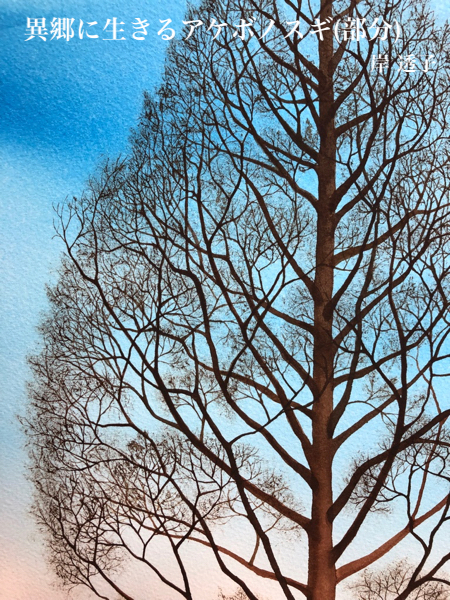 水彩画 異郷に生きるアケボノスギ(部分)